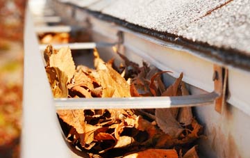 Great Hale gutter cleaning companies