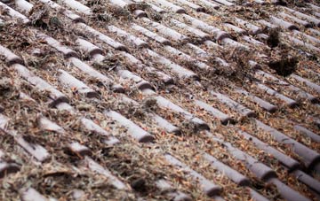 Great Hale roof cleaning companies