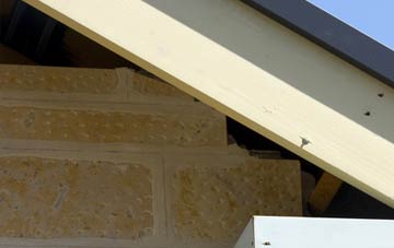 soffit repair Great Hale