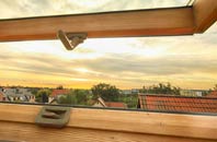 rated Great Hale roof window companies